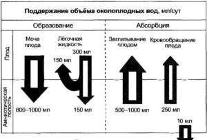 Норма количество околоплодных вод