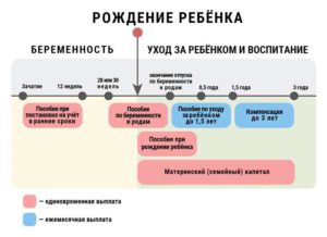 На каком сроке уходят в декрет с двойней