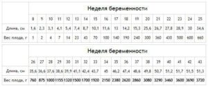 Вес и рост ребенка в 27 недель беременности