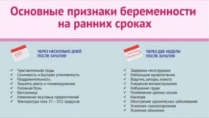 Можно ли прощупать беременность на ранних сроках самой