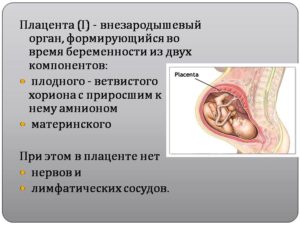 Неоднородная плацента при беременности