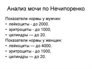 Норма лейкоцитов по нечипоренко в моче при беременности