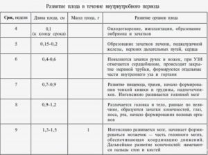 Акушерская и эмбриональная недели разница