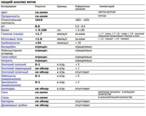 В моче следы уробилиногена