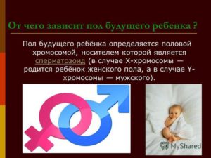 Кто влияет на пол ребенка мужчина или женщина