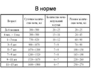 Норма суточный объем мочи