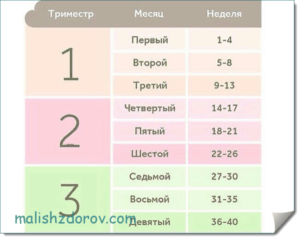 6 7 недель это сколько месяцев беременности