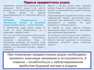 Предвестники родов на 36 неделе беременности у первородящих