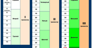 Как делятся по неделям триместры