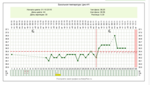 Нет месячных 42 года