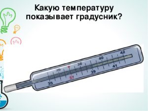Как правильно термометр или градусник