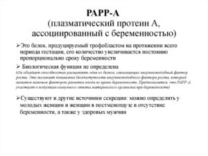 Papp белок при беременности