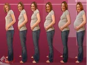 Когда при беременности становится виден живот при беременности