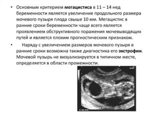 Размеры мочевого пузыря у плода по неделям нормы