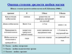 Степень зрелости шейки матки