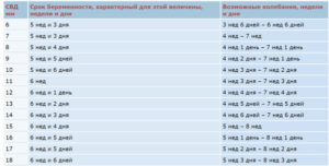 Плодное яйцо 10 мм какой срок от зачатия