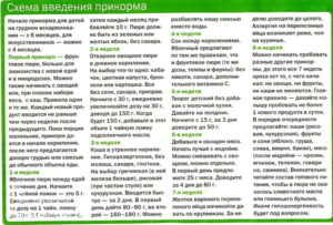 Как вводить каши в прикорм в 6 месяцев