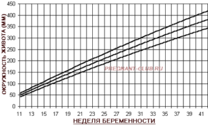 Окружность живота по неделям беременности норма у плода