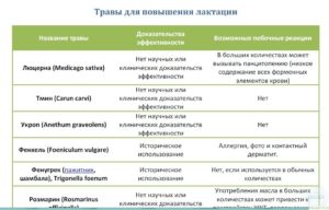 Какие продукты увеличивают лактацию и жирность грудного молока