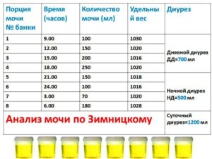 Сколько мл нужно для анализа мочи при беременности