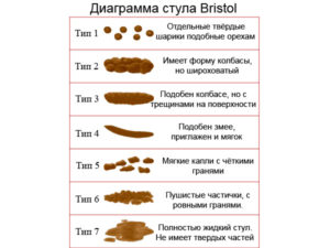 Твердый стул у ребенка 1 год