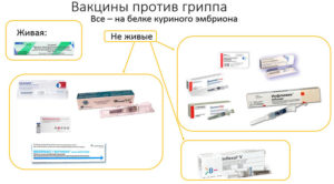 Прививка от гриппа при слабом иммунитете