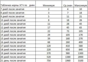 13 день после зачатия