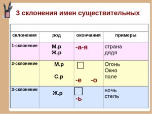 Склонение по родам существительных