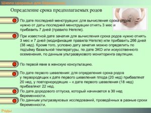 Как определить дату родов по первому шевелению плода