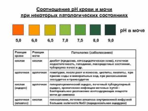 Ph мочи 6 5