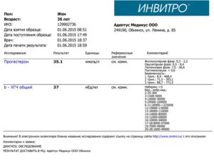 Анализ крови на хгч сколько делается по времени