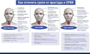 Чем отличается орви от простуды