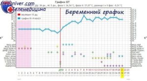 Температура при беременности 37 на 27 неделе беременности