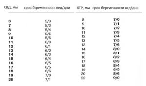 Ктр плода по неделям от зачатия таблица