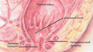 Трещины у заднего прохода у детей