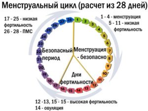 При 28 дневном цикле на какой день овуляция