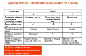 Степень зрелости шейки матки