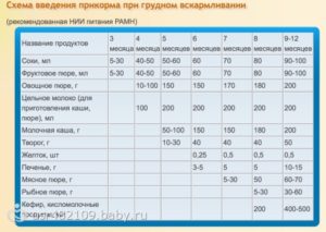 До скольки месяцев нужно кормить ребенка грудным молоком