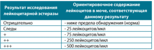 Лейкоцитарная эстераза в моче у ребенка что это