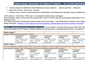 Как вводить каши в прикорм в 6 месяцев