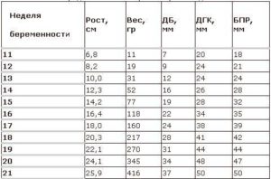 Вес плода на 34 неделе беременности норма таблица