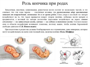 Что делать болит копчик после родов при сидении