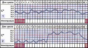 Через сколько дней начинаются месячные после неудачного эко