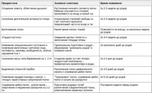 Первые схватки интервал и ощущения у первородящих