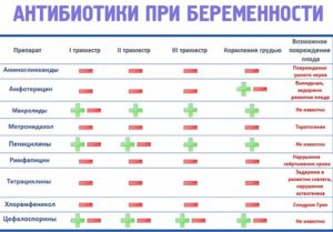 Какие антибиотики можно при беременности во втором триместре