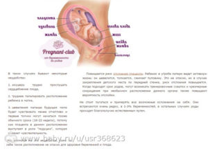 Когда при второй беременности начинает шевелиться ребенок форум