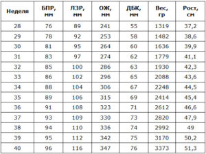 Фетометрия плода на 20 неделе беременности норма