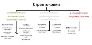 Стрептококк гемолитический при беременности