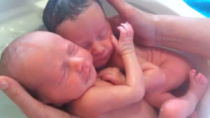 Чем отличаются близнецы от двойняшек в утробе матери