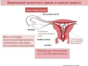 Можно ли забеременеть при отсутствии месячных 3 месяца